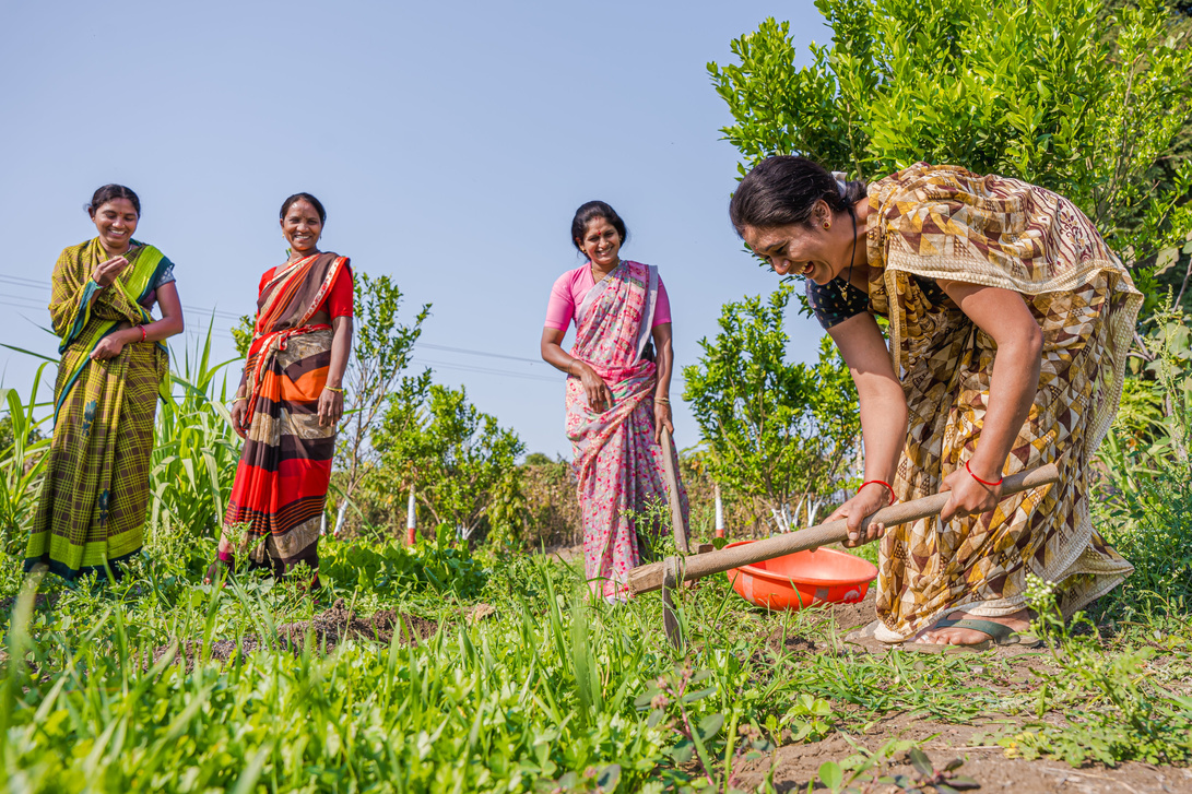 Farmers in India